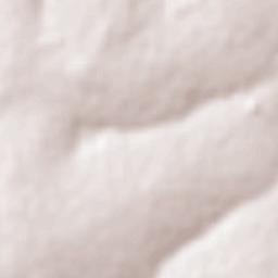 Viradouro Terrain Map