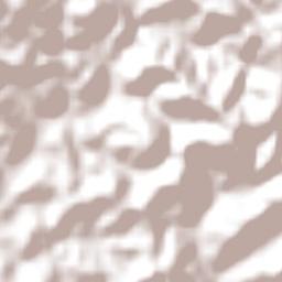 Resende Costa Terrain Map