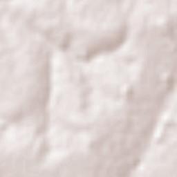 União Paulista Terrain Map