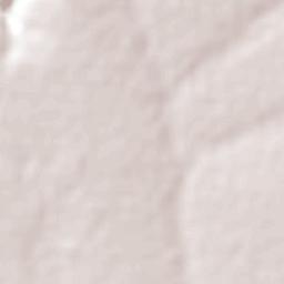 Sidrolândia Terrain Map