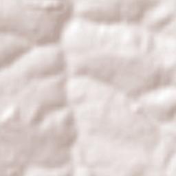 Tabapuã Terrain Map