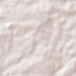 Murutinga do Sul Terrain Map