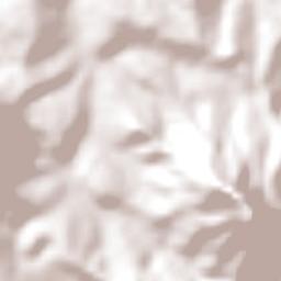 Carmo do Rio Claro Terrain Map