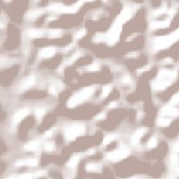 Visconde do Rio Branco Terrain Map