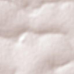 Pitangueiras Terrain Map