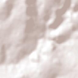 Jardinópolis Terrain Map