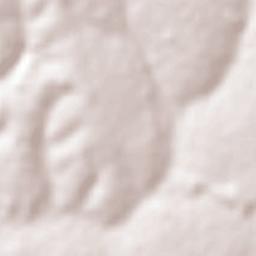 Buritama Terrain Map