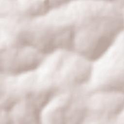 Taquaral Terrain Map