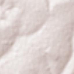 Potirendaba Terrain Map