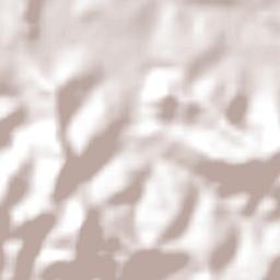 Campo do Meio Terrain Map