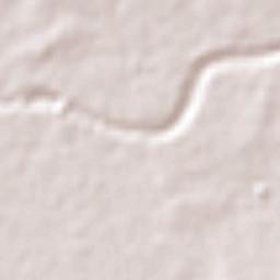 Marian Terrain Map