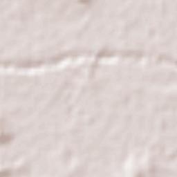 Walkerston Terrain Map