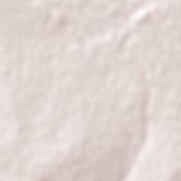 São João do Pau d'Alho Terrain Map