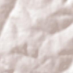 Ariranha Terrain Map