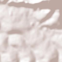 Campos Gerais Terrain Map