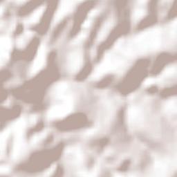 Nepomuceno Terrain Map