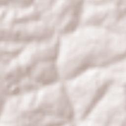 Bento de Abreu Terrain Map