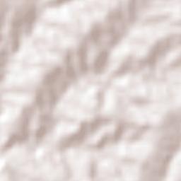 Rubiácea Terrain Map