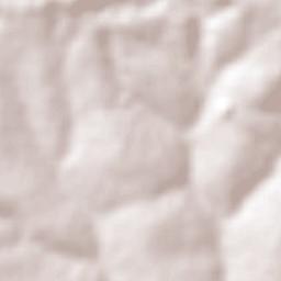 Cândido Rodrigues Terrain Map