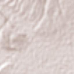 Enrique Baldivieso Terrain Map