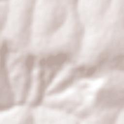 Santa Ernestina Terrain Map