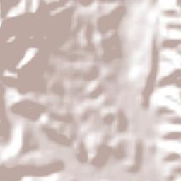 Entre Ríos Terrain Map