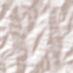 Paulista Flórida Terrain Map