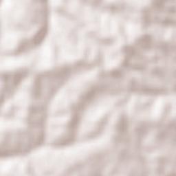 Clementina Terrain Map