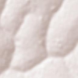 Itápolis Terrain Map