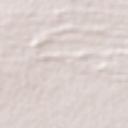 East Pilbara Terrain Map