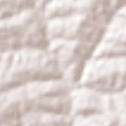 Alto Alegre Terrain Map