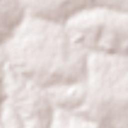 Borborema Terrain Map