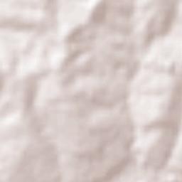 Flora Rica Terrain Map