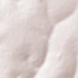 Gavião Peixoto Terrain Map