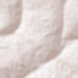 Araraquara Terrain Map