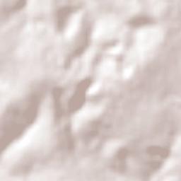 Casa Branca Terrain Map