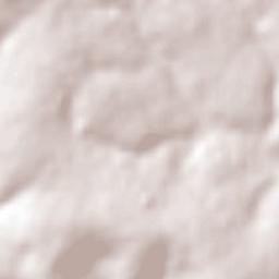 Santa Cruz das Palmeiras Terrain Map