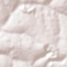 São Carlos Terrain Map