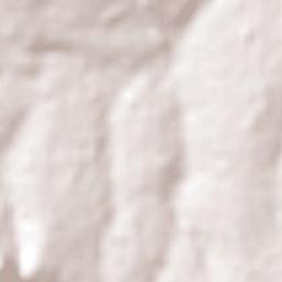 Pirassununga Terrain Map