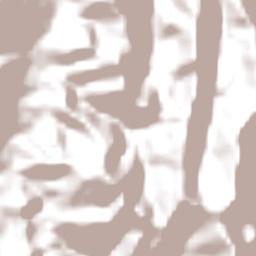 Provincia Arce Terrain Map