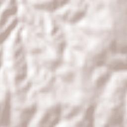 Regente Feijó Terrain Map