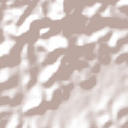 Borda da Mata Terrain Map