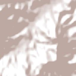 Dom Viçoso Terrain Map