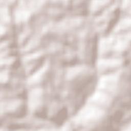 Pirapozinho Terrain Map