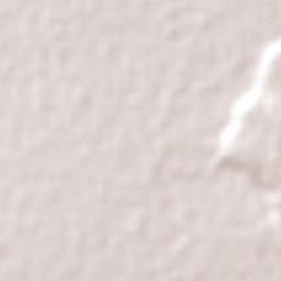 María Elena Terrain Map