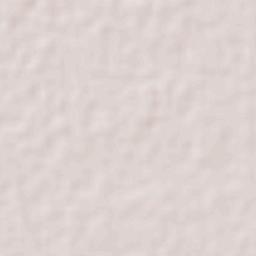 Filadelfia Terrain Map