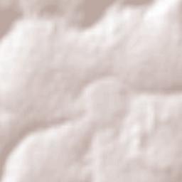 Pederneiras Terrain Map