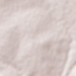 Teodoro Sampaio Terrain Map