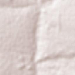 Paraguaçu Paulista Terrain Map