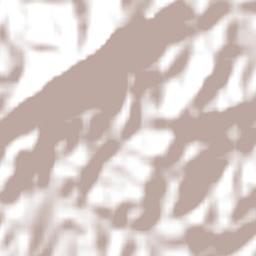 Monte Sião Terrain Map